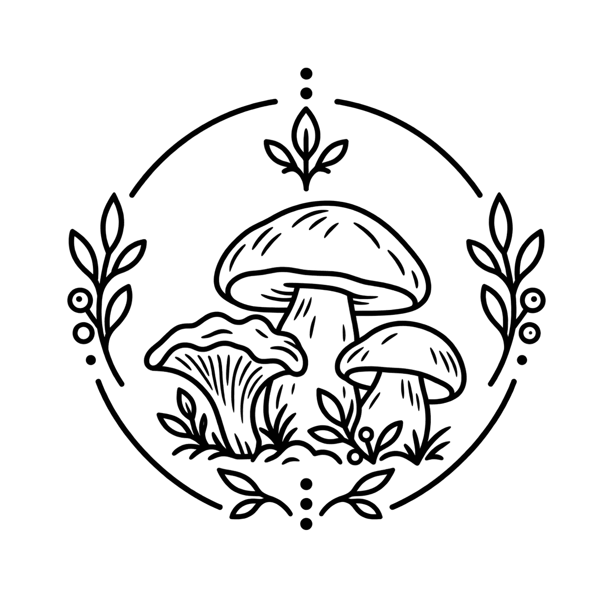 Grzyby leśne